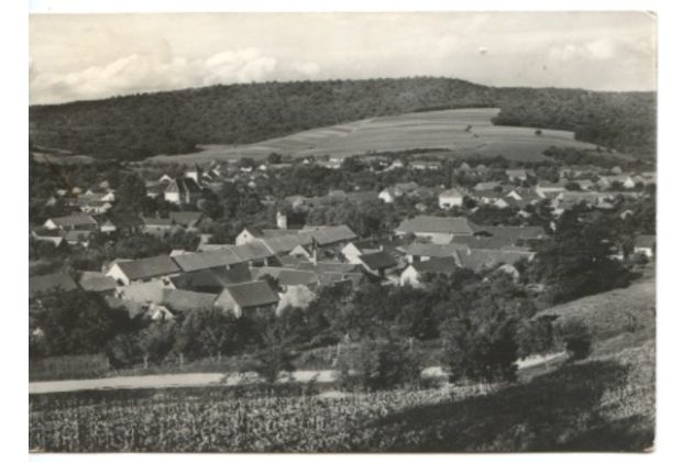 E 13725 - Boleradice