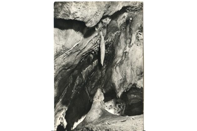 E 42546 - Zlatý kůň u Koněprus 