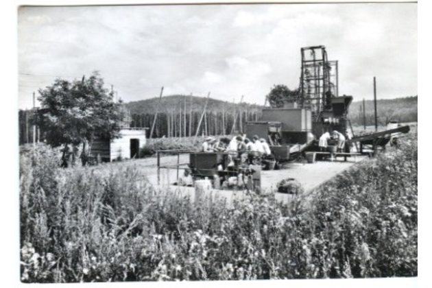 E 42539 - Pozdrav z česání chmele