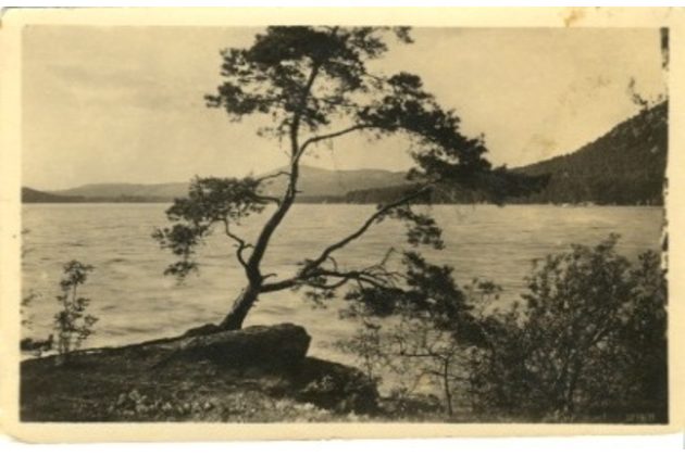 D 14397 - Máchovo  jezero