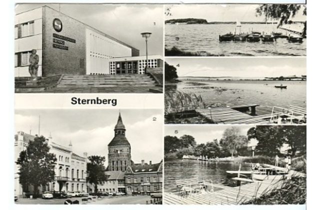Sternberg - 39974