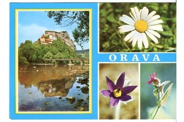 Orava - 39994