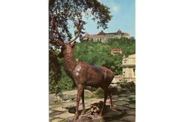 F 18491 - Karlovy Vary