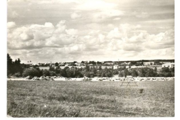 E 19515 - Leština u Světlé