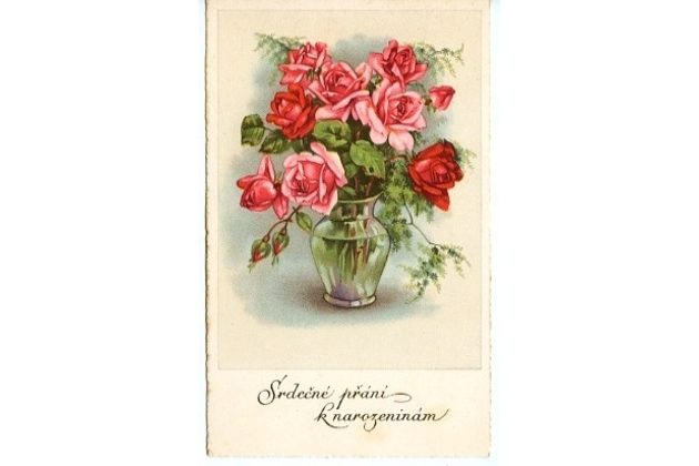 C 38564 - Srdečné blahopřání k narozeninám