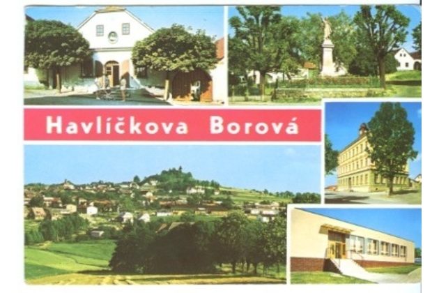 F 20271 - Borová