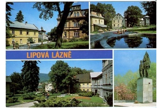 F 20764 - Lipová