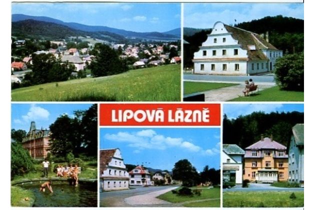 F 20768 - Lipová