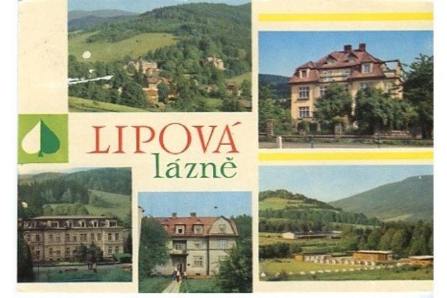 F 20773 - Lipová