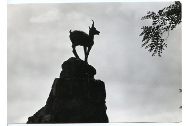 E 23252 - Karlovy Vary 3