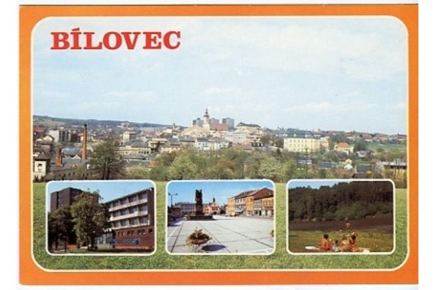 F 24351 - Bílovec