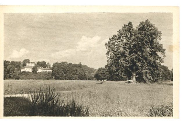 D 25186 - Ratibořice