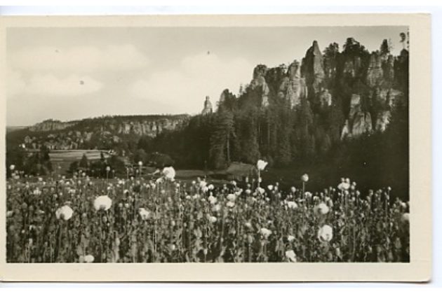 D 25238 - Adršpašské skály