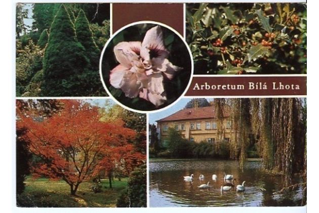 F 26078 - Bílá Lhota