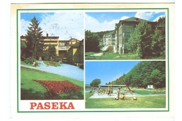 F 26113 - Paseka