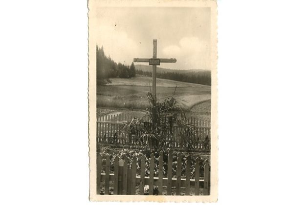 D 26351 - Javoříčko