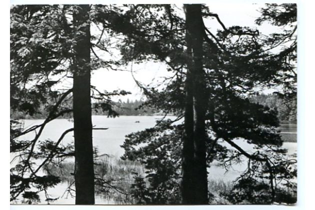 E 26884 - Škrdlovice