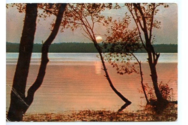 F 27037 - Velké Dářko 