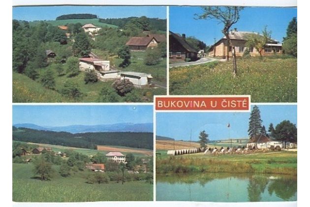 F 28021 - Bukovina u Čisté
