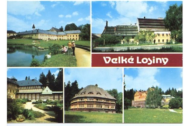 F 29193 - Velké Losiny