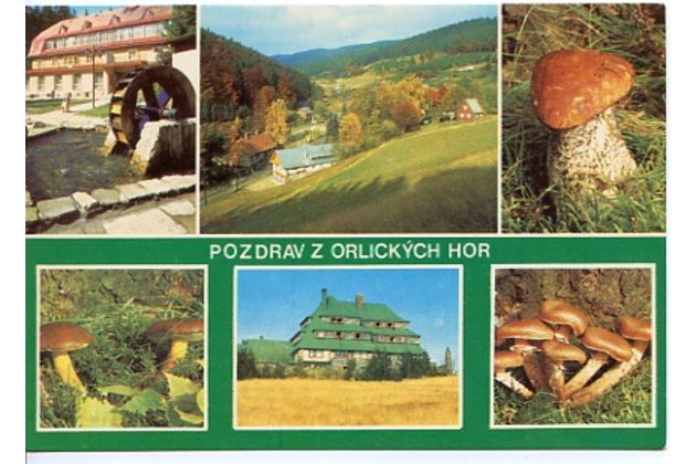 F 29354 - Orlické hory