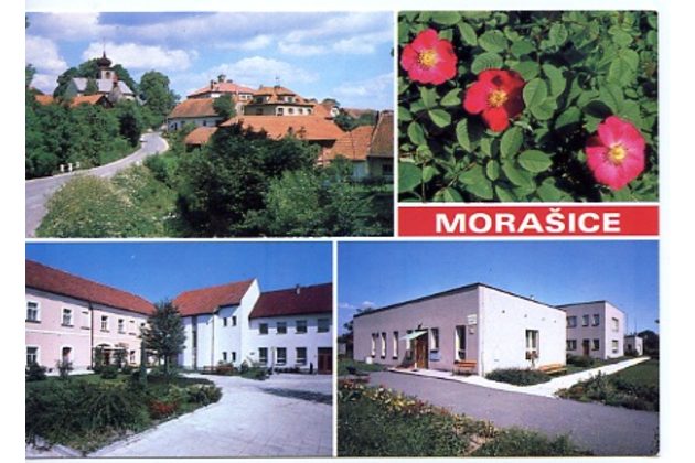 F 29438 - Morašice