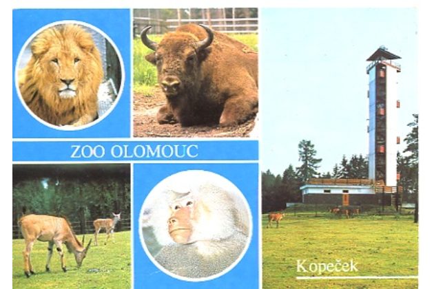 F 31197 - Olomouc (Olmütz)2 