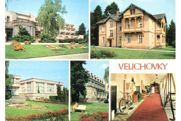 F 002969 - Velichovky