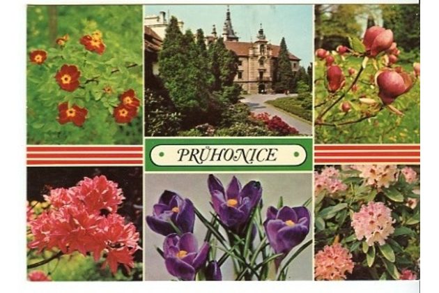 F 32558 - Průhonice