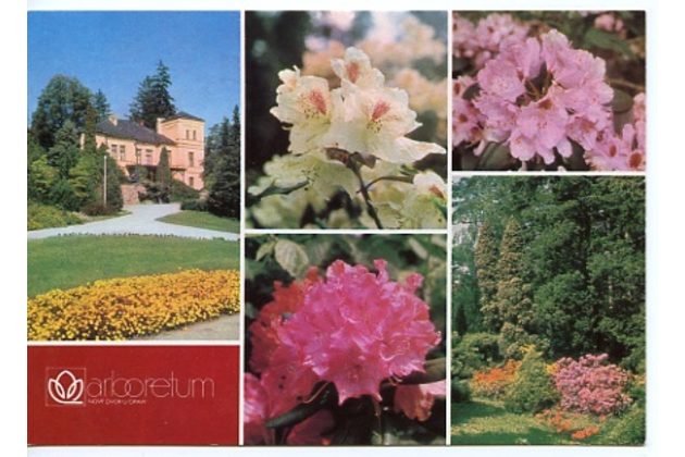 F 33644 - Nový Dvůr