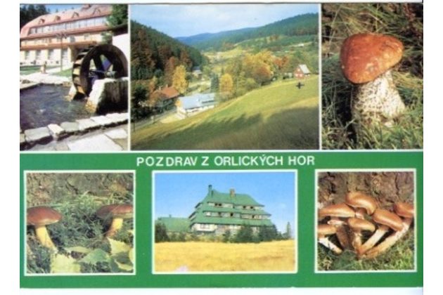 F 41041 - Orlické hory 