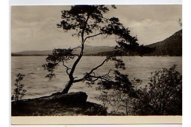 E 34457 - Máchovo jezero