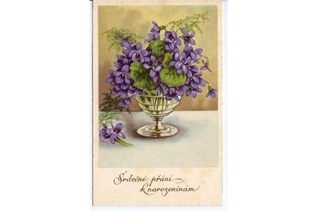 C 38561 - Srdečné blahopřání k narozeninám