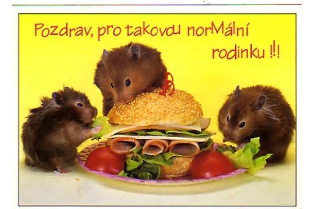 F 36026 - Pozdrav pro takovou normální rodinku!!!