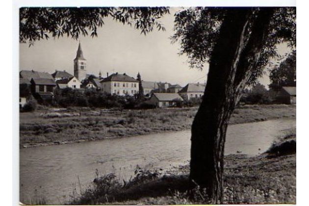 E 36373 - Hořepník