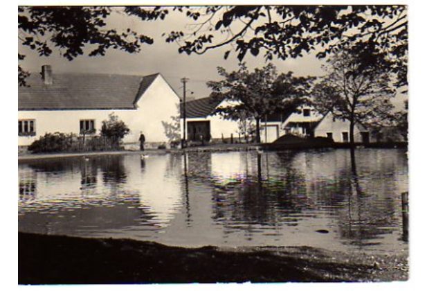 E 37699 - Chotěmice