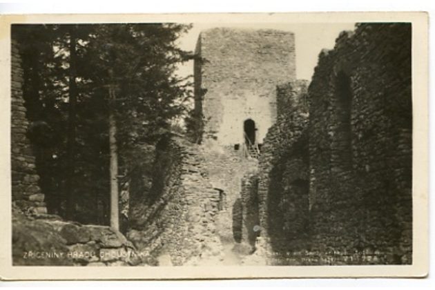 D 38173 - Choustník 