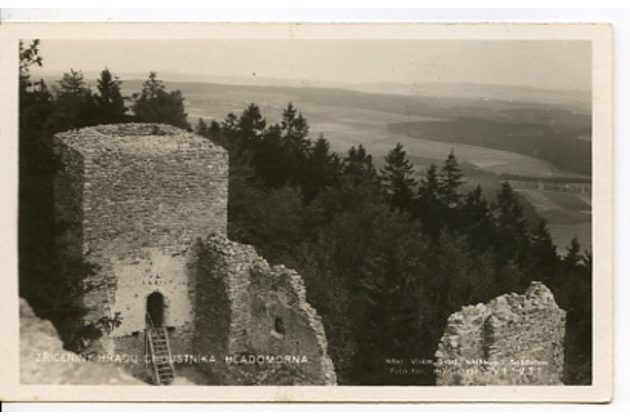 D 38174 - Choustník 