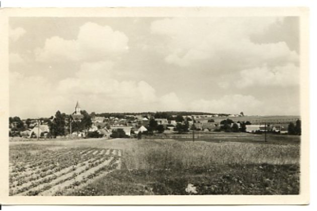 D 38192 - Bernartice