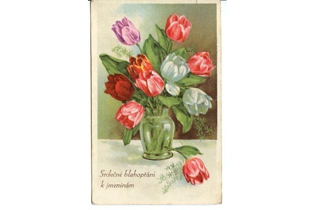 C 38322 - Srdečné blahopřání k jmeninám
