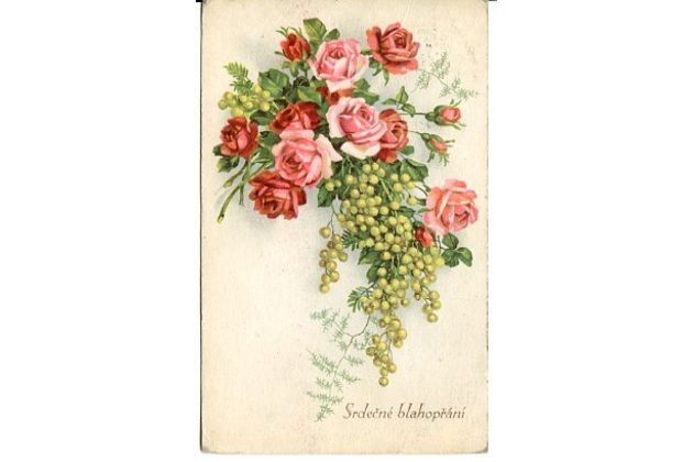 C 38326 - Srdečné blahopřání 