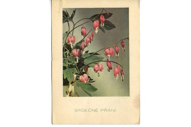 C 38327 - Srdečné přání 