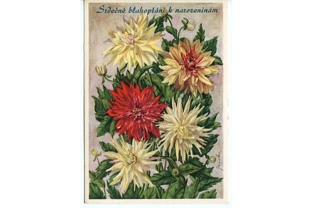 C 38351 - Srdečné blahopřání k narozeninám