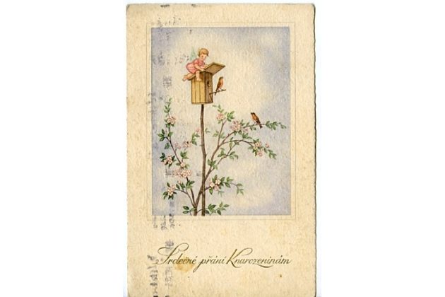 C 38357 - Srdečné blahopřání k narozeninám