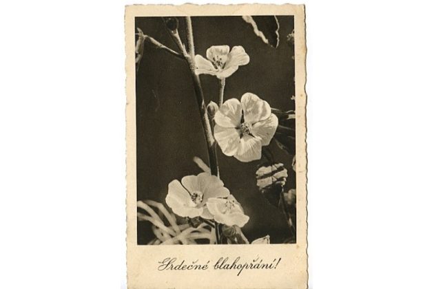 D 38359 - Srdečné blahopřání