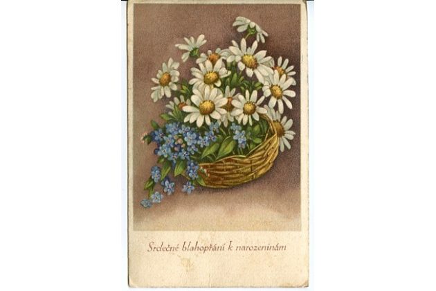 C 38361 - Srdečné blahopřání k narozeninám