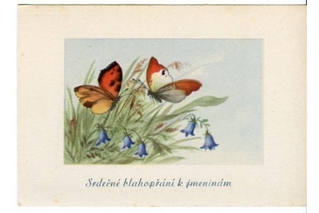 C 38368 - Srdečné blahopřání k jmeninám