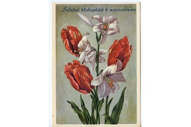 C 38369 - Srdečné blahopřání k jmeninám