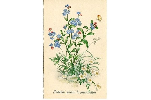 C 38506 - Srdečné blahopřání k jmeninám