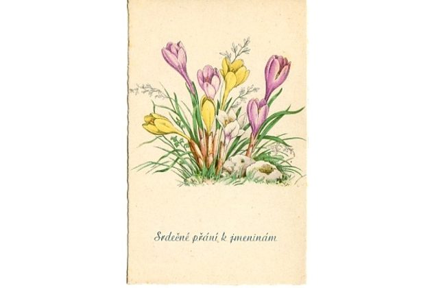 C 38510 - Srdečné blahopřání k jmeninám